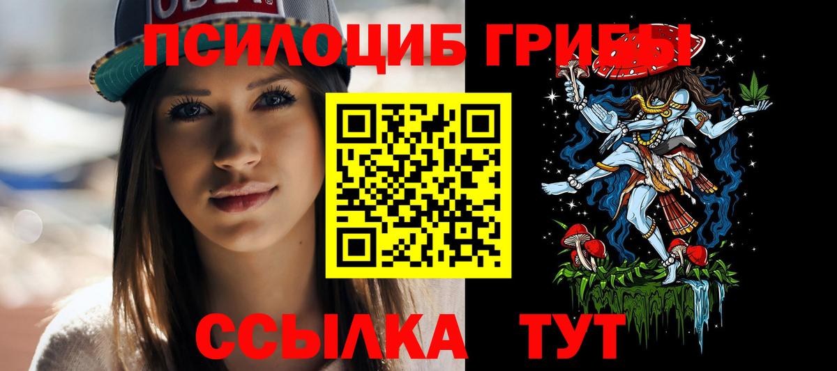 Псилоцибиновые грибы Psilocybine cubensis  Псилоцибиновые грибы Magic Shrooms  Зеленогорск  Вход с VPN 