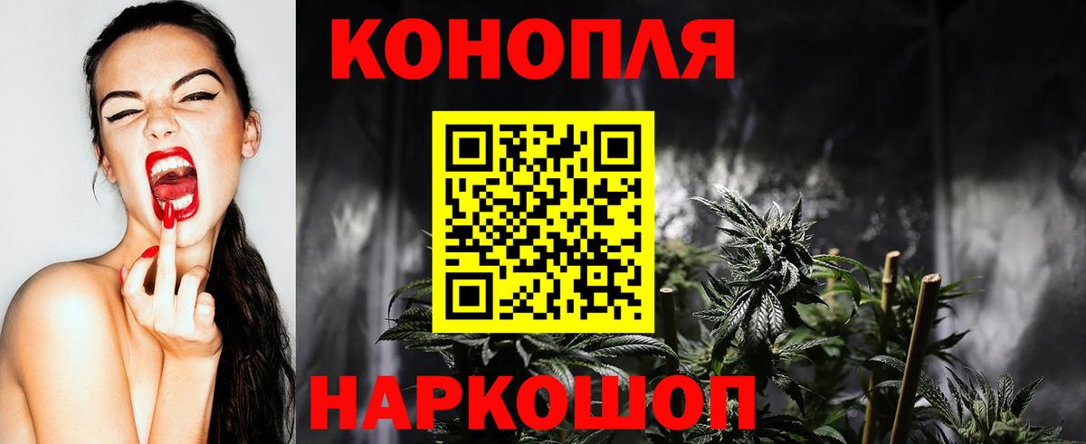 Конопля марихуана Зеленогорск