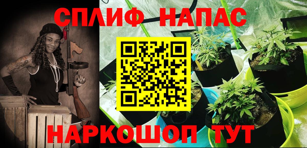Зеленогорск  Каннабис планчик  МАРИХУАНА семена  Бошки марихуана тримм  Вход с VPN 